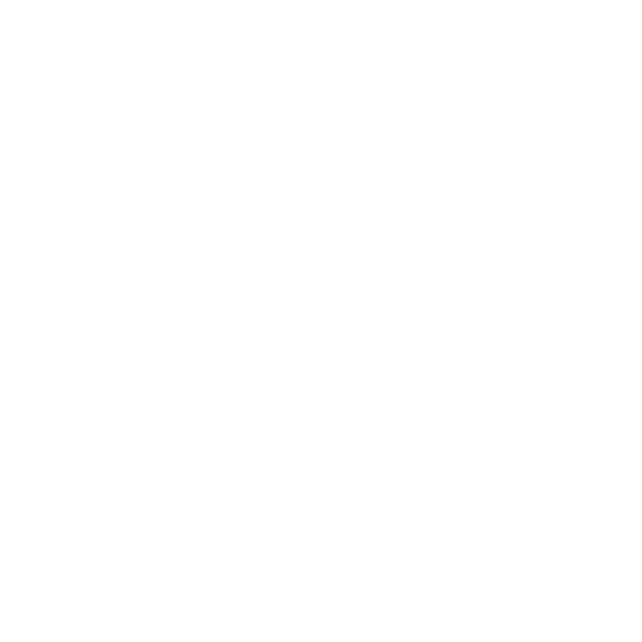 icon healthcare
